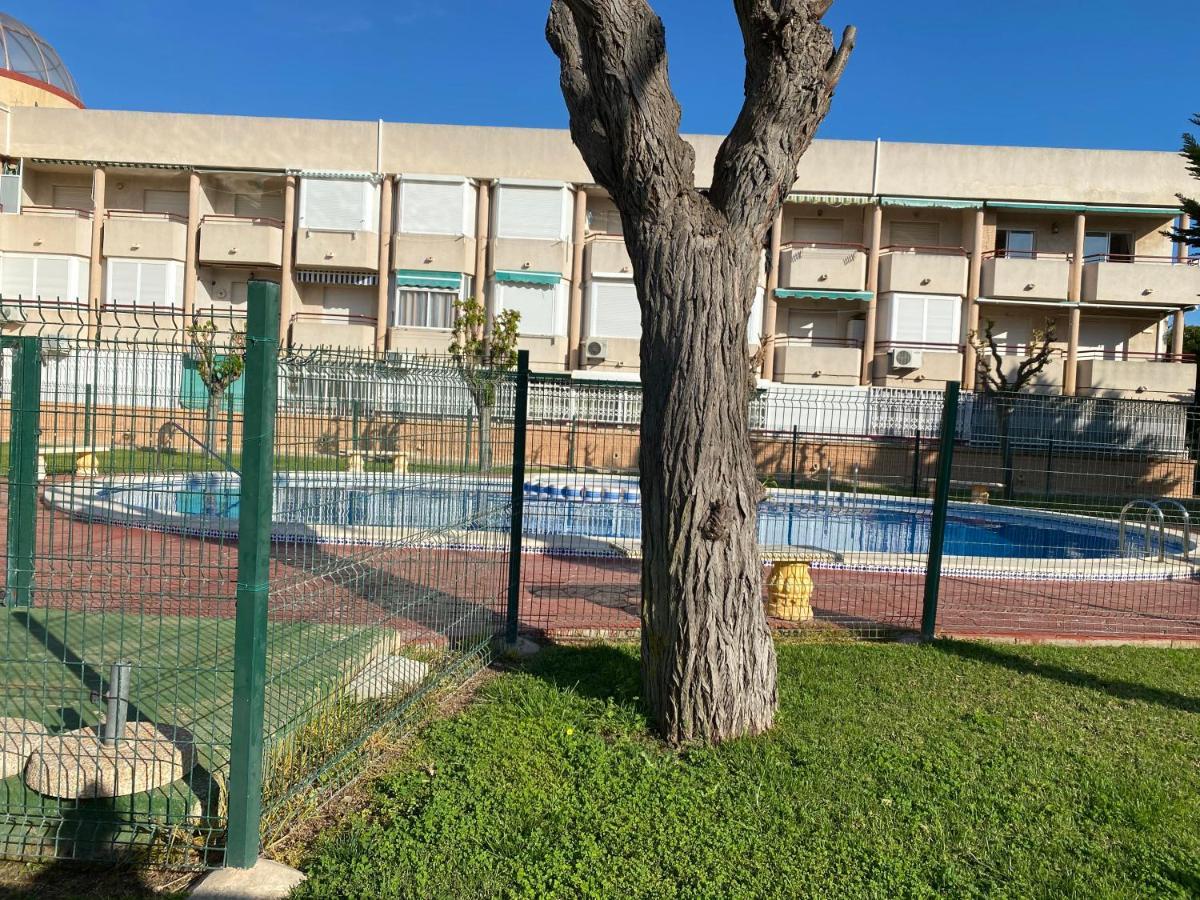 Apartamento Mil Palmeras Pilar de la Horadada Ngoại thất bức ảnh